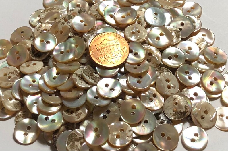 Awabi Shell Button 8 Pcs Only! Set of 8 Slightly Curved Iridescent Beige Multi-color Awabi ...