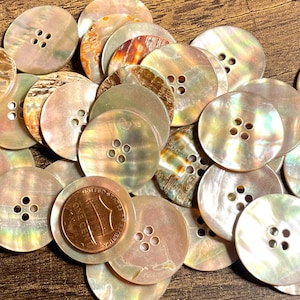 May include: A collection of round, four-hole mother-of-pearl buttons with iridescent surfaces in shades of cream, tan, and brown. One copper-colored United States one-cent coin is placed among the buttons to provide a sense of scale.