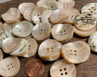 6 Vintage Curved VERY Thick Iridescent Beige Green MOP Natural Shell 4-hole Buttons 22.5mm 7/8" 12904