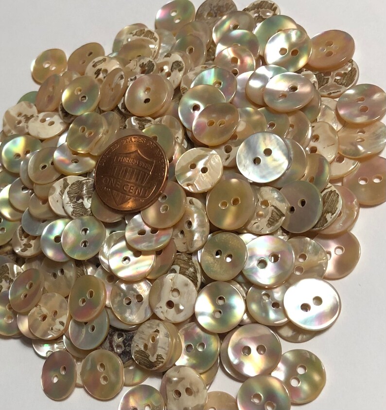 Awabi Shell Button 8 Pcs Only! Set of 8 Slightly Curved Iridescent Beige Multi-color Awabi ...