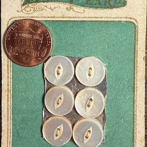 May include: Six round, off-white mother-of-pearl buttons with two-hole centers, arranged in two columns on a teal card labeled BEST PEARL. A copper one-cent coin is placed next to the buttons for scale, showing the relative size of the items.