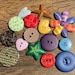 Owner of <a href='https://www.etsy.com/shop/ButtonHive?ref=l2-about-shopname&from_page=listing' class='wt-text-link'>ButtonHive</a>
