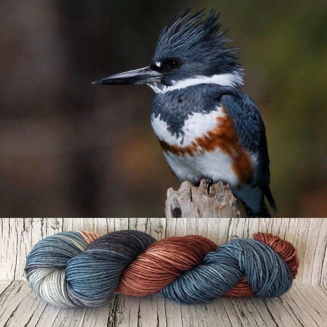 Belted Kingfisher Hand Dyed Superwash DK Yarn Merino Etsy