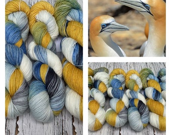 Northern Gannet - Fingering SW 100% Merino - Hand Dyed  Yarn