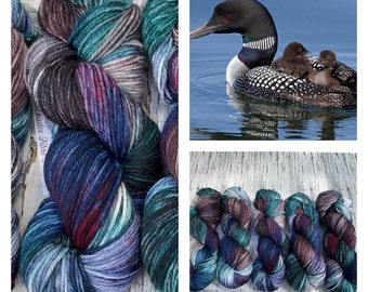 Loon Series - Hand-Dyed Superwash DK Merino/Nylon Blend