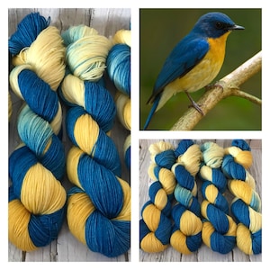 Blue Flycatcher - Hand Dyed Superwash DK & Fingering Yarn