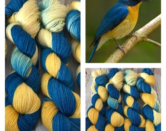 Blue Flycatcher - Hand Dyed Superwash DK & Fingering Yarn