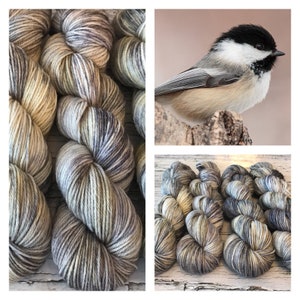 Black-Capped Chickadee - Hand Dyed Superwash DK Yarn