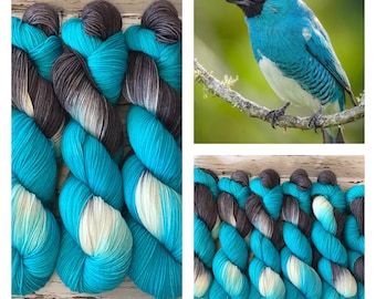 Swallow Tanager - Assigned Pooling Yarn - Hand Dyed Superwash Fingering Yarn