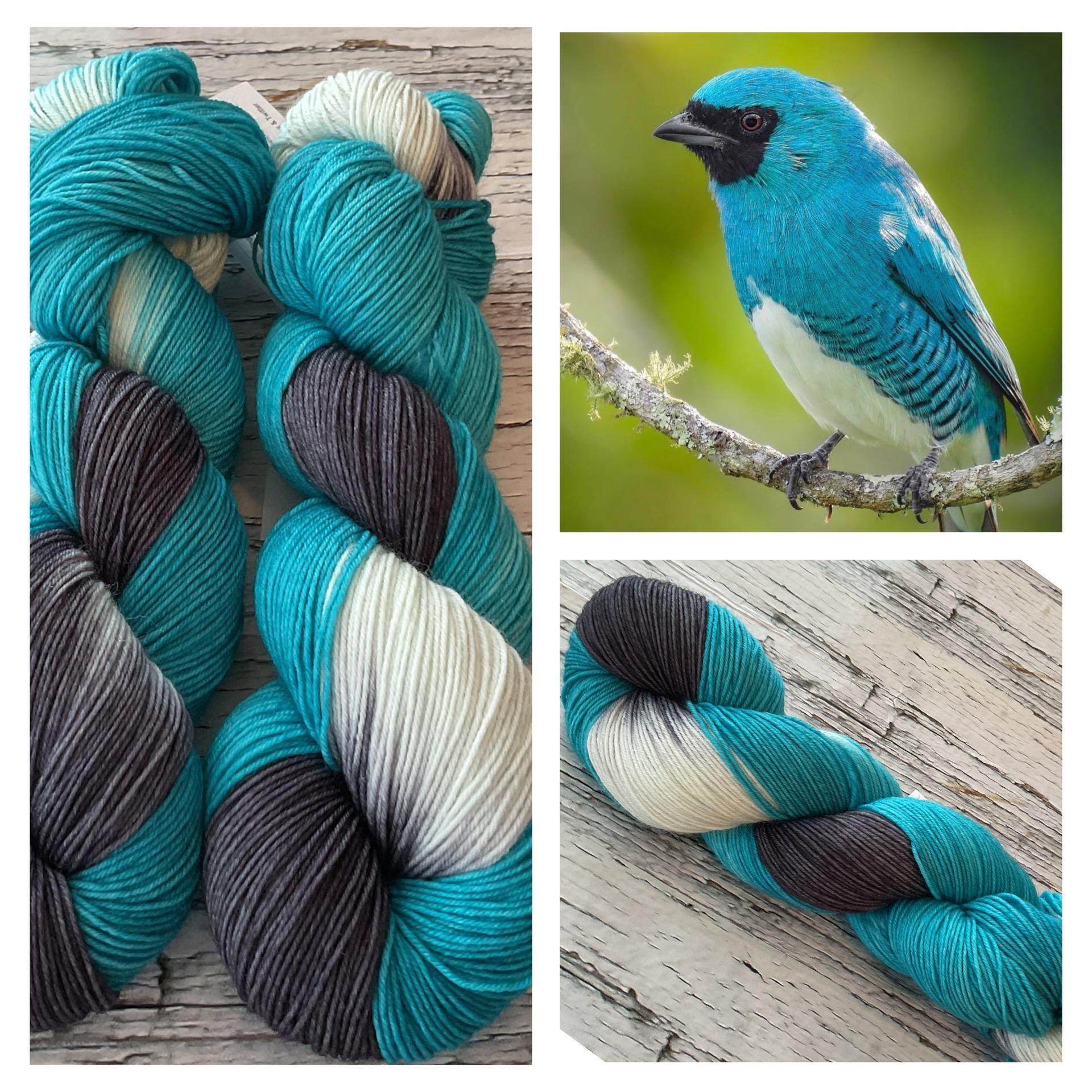 Swallow Tanager - Assigned Pooling Yarn - Hand Dyed Superwash Fingering Yarn