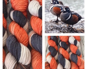 Harlequin Drake Duck -  Hand Dyed Superwash DK & Fingering Yarn