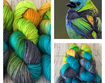 Green-Headed Tanager - Hand Dyed Superwash DK & Fingering Yarn