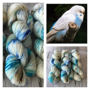 Parakeet - Hand Dyed Superwash Fingering Yarn - 100% Merino