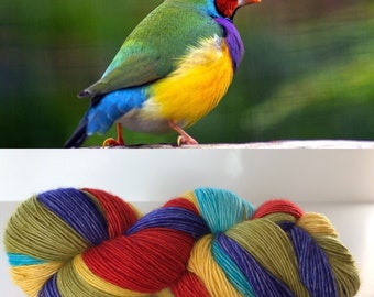 Gouldian Finch - Hand Dyed Superwash Fingering Yarn - 5 Mini Skeins Set