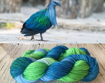 Nicobar Pigeon - Hand Dyed Yarn Superwash DK & Fingering Yarn - 100% Merino, MCN and Merino/Nylon