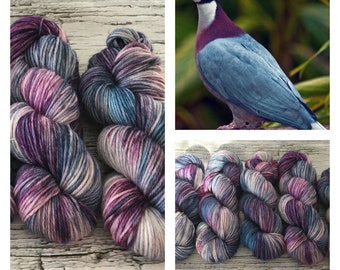 Fruit Dove Variegated - Hand Dyed Superwash DK Yarn - 100% Merino