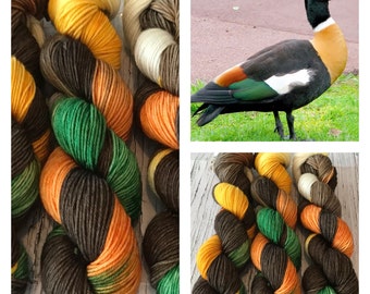 Australian Shelduck - Hand Dyed Superwash DK & Fingering Yarn