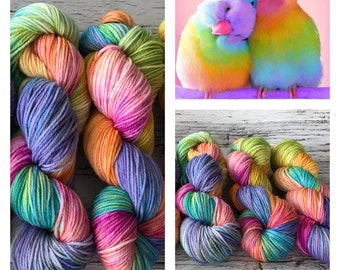 Izzy’s Rainbow Parrots - Hand Dyed Superwash DK Yarn - 100% Merino