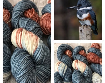 Belted Kingfisher - Hand Dyed Superwash DK Yarn Merino