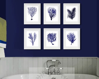 Ocean Set Art Print / Choose From 6 Sea Shell Designs / 8x10 / - Etsy