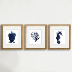 May include: Three framed prints of blue and white illustrations of a sea turtle, a seahorse, and a piece of seaweed. The prints are hanging on a white wall above a dark blue couch.