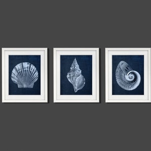 Seashell Wall Art Set of 3 Unframed Art Prints - Navy Blue Beach Decor for Bathroom Bedroom Featuring Clam Shell, Nautilus, and Conch Shell