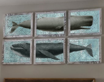 Décor côtier Mur Art Verre de mer Bleu Vert Baleine Photos 6 pièces tirages non encadrés