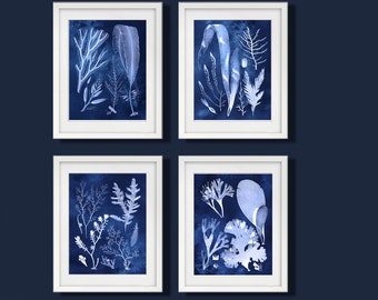 Beach House Wall Decor set of 4 Unframed Blue and White Seaweed Art Prints Coastal Decor