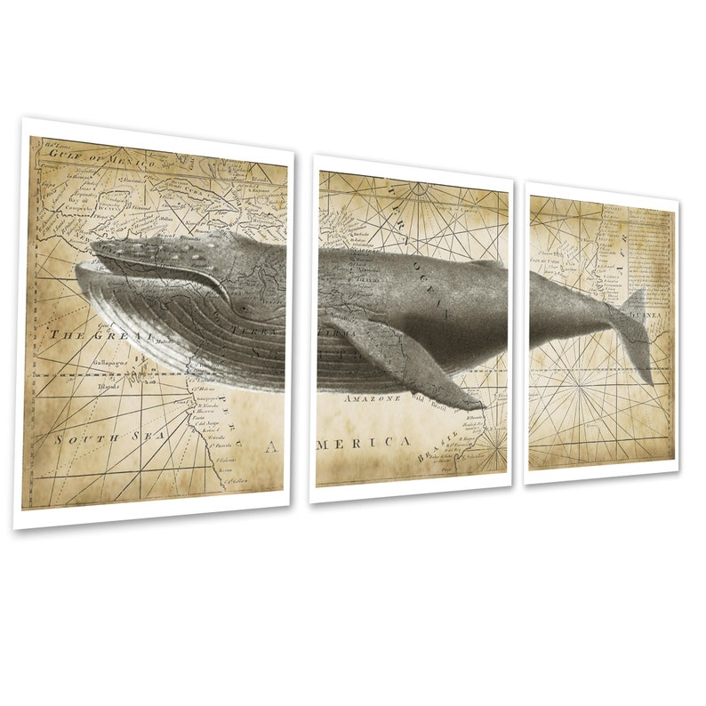 Humpback Whale Decor 3 Piece Wall Art with Vintage Nautical | Etsy