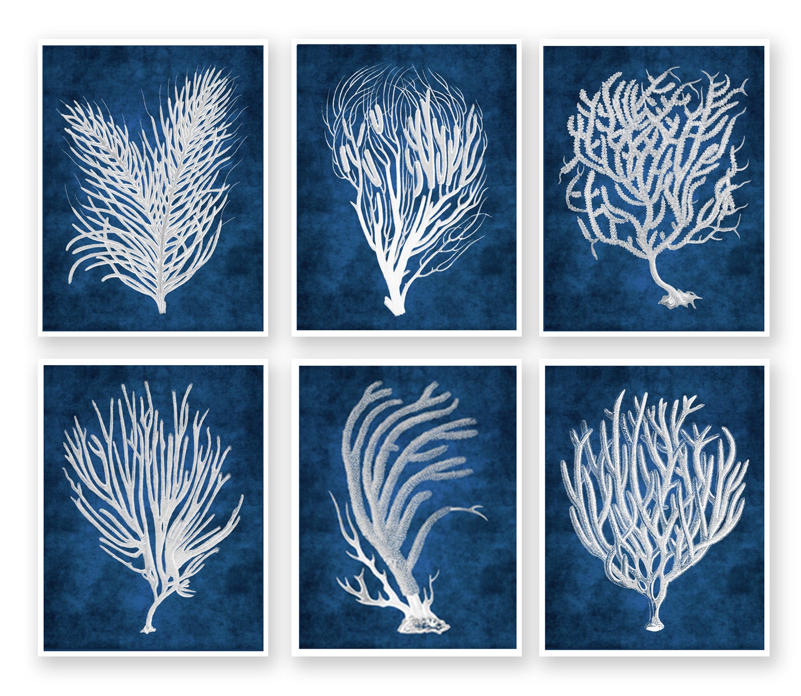 Navy Beach Wall Art a Set of 6 White Sea Corals With Navy Etsy