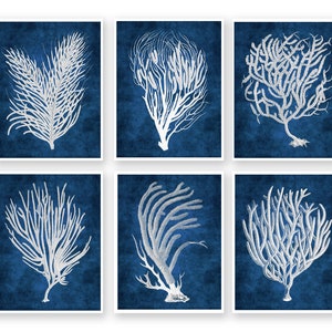 Navy Beach Wall Art, a Set of 6 White Sea Corals With Navy Background ...