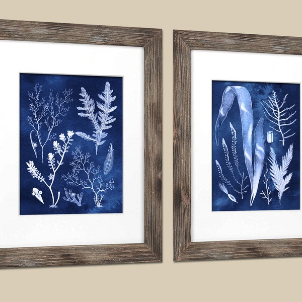 Seaweed Art Etsy