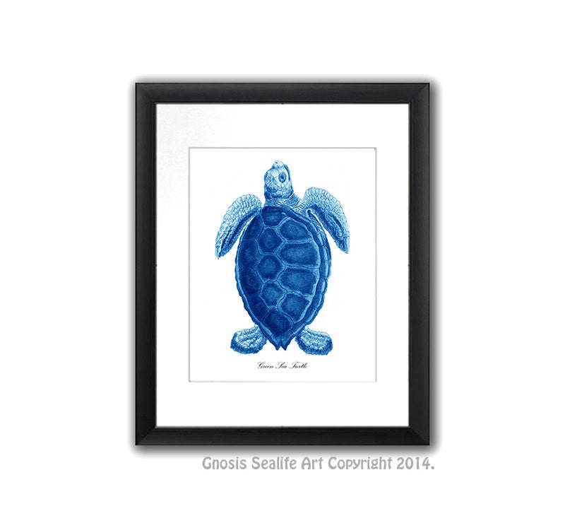 Blue Sea Turtles Decor Art Print Set of 4 Beach Bathroom | Etsy