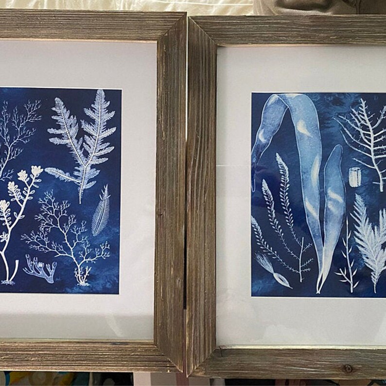 Navy Blue Seaweed Beach Decor Set of 2 Unframed Wall Art Etsy