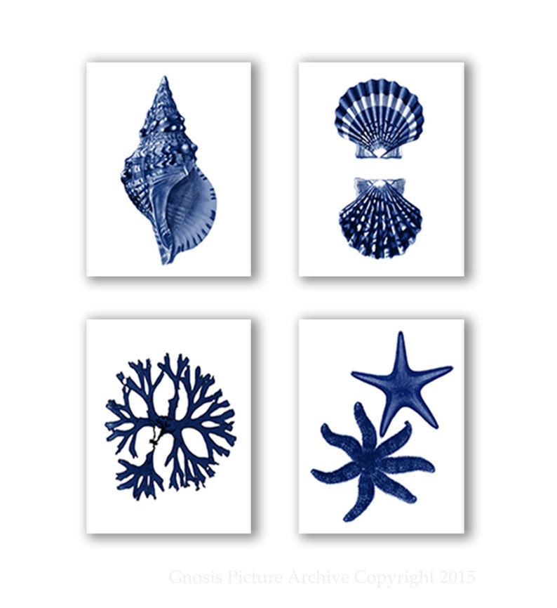 Coastal Wall Decor Navy Blue Sea Shells Starfish Set of 4 Etsy Australia