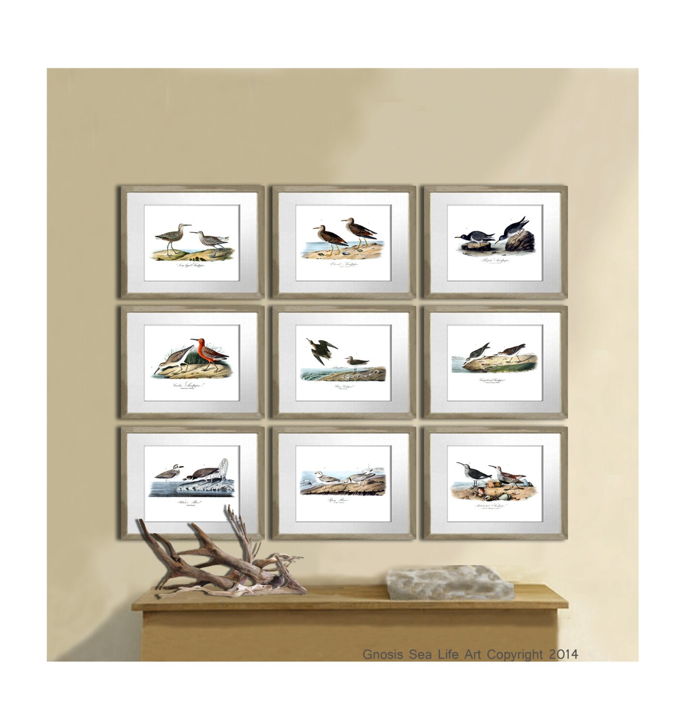 Sea Bird Decor Wall Art Set of 9 Beach Decor Wall Art Antique Etsy