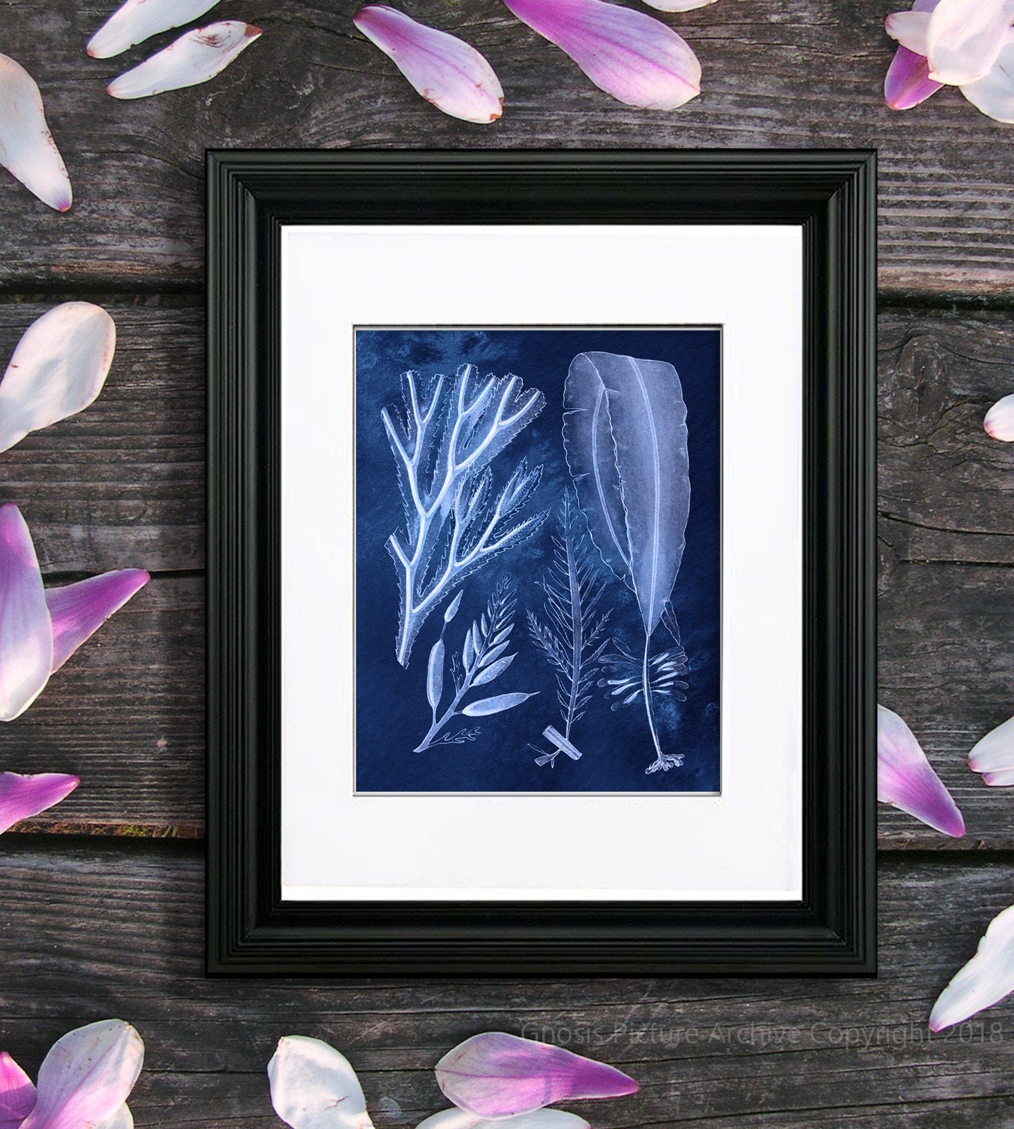 Blue Seaweeds Art Prints Set of 6 Unframed Blue and White Nautical Wall ...