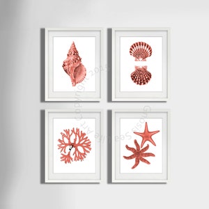 Coral Pink seashell Art Print set of 4, art balnéaire, Starfish art Print, Seashell art print, algues, Beach wall art Decor, Nautical Decor image 1