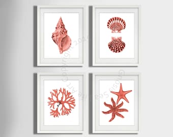 Coral Pink seashell Art Print set of 4, seaside art, Starfish art Print, Seashell art print, seaweed, Beach wall art Decor, Nautical Decor