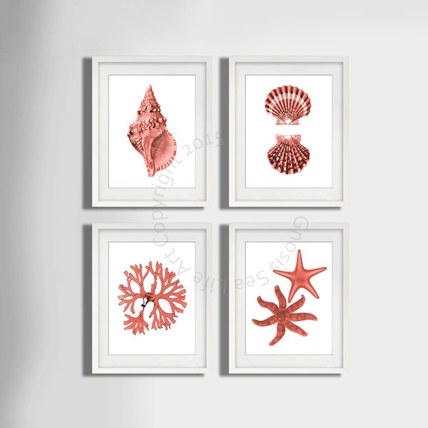 Coral Pink seashell Art Print set of 4, seaside art, Starfish art Print, Seashell art print, seaweed, Beach wall art Decor, Nautical Decor