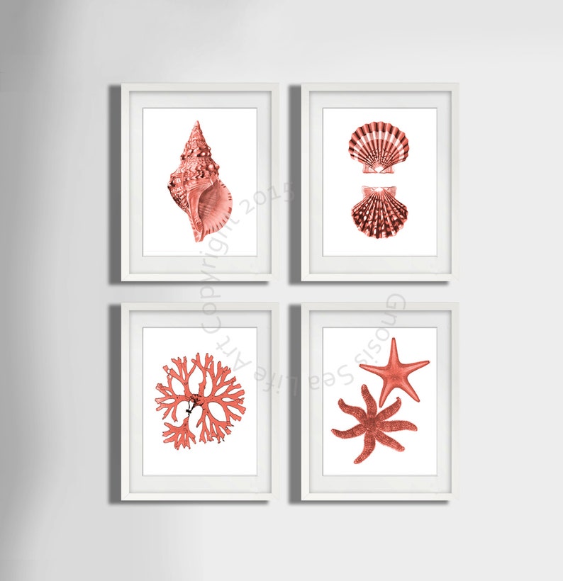 Coral Pink seashell Art Print set of 4, art balnéaire, Starfish art Print, Seashell art print, algues, Beach wall art Decor, Nautical Decor image 1