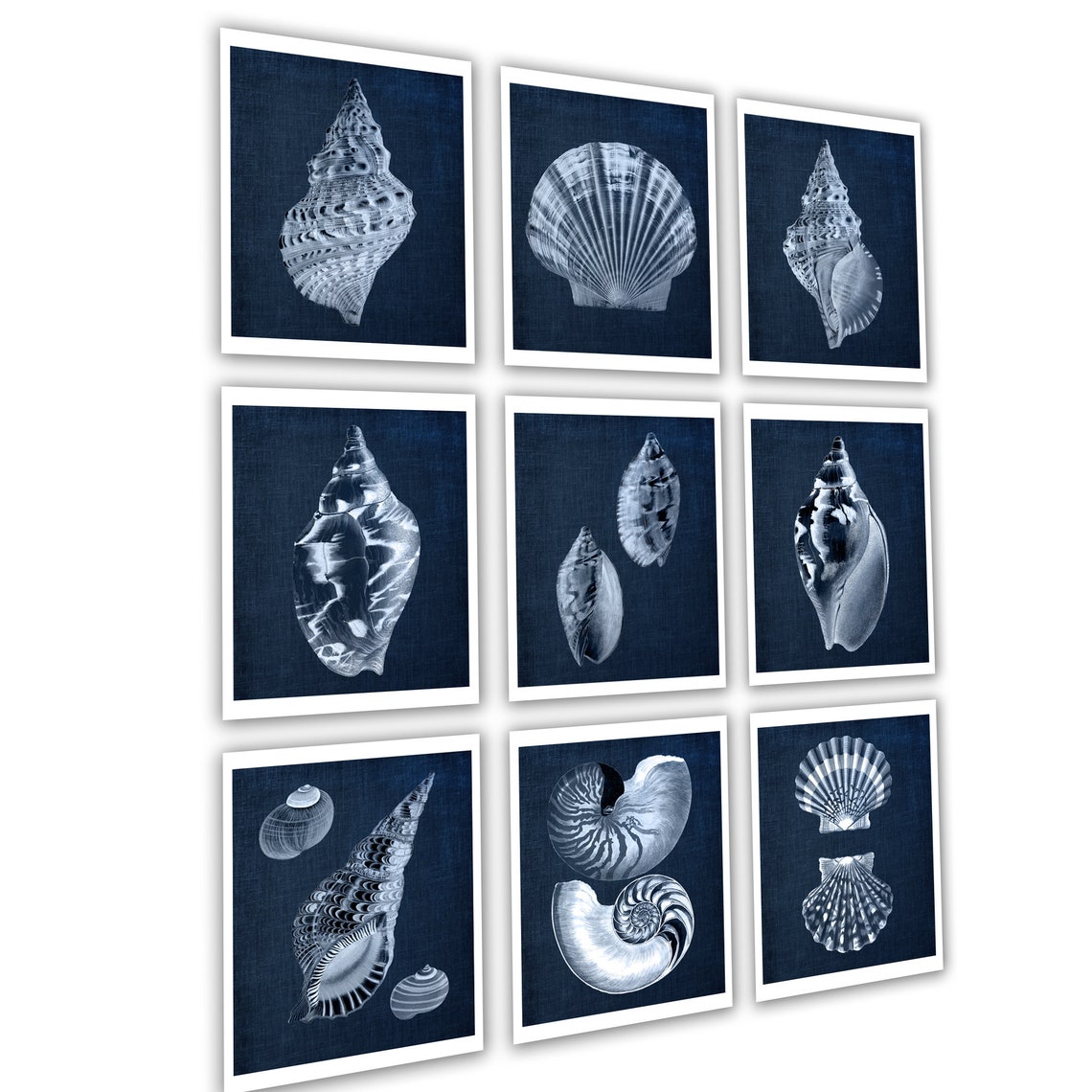 Blue Shell Ptints Sea Shell Art Prints Coastal Decor, Beach Decor, Navy Blue Seashells a ...