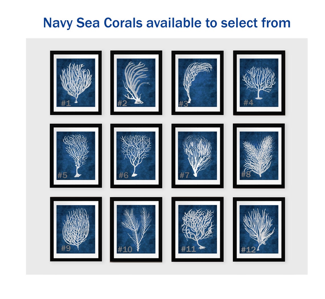 Navy Beach Wall Art a Set of 6 White Sea Corals With Navy Etsy