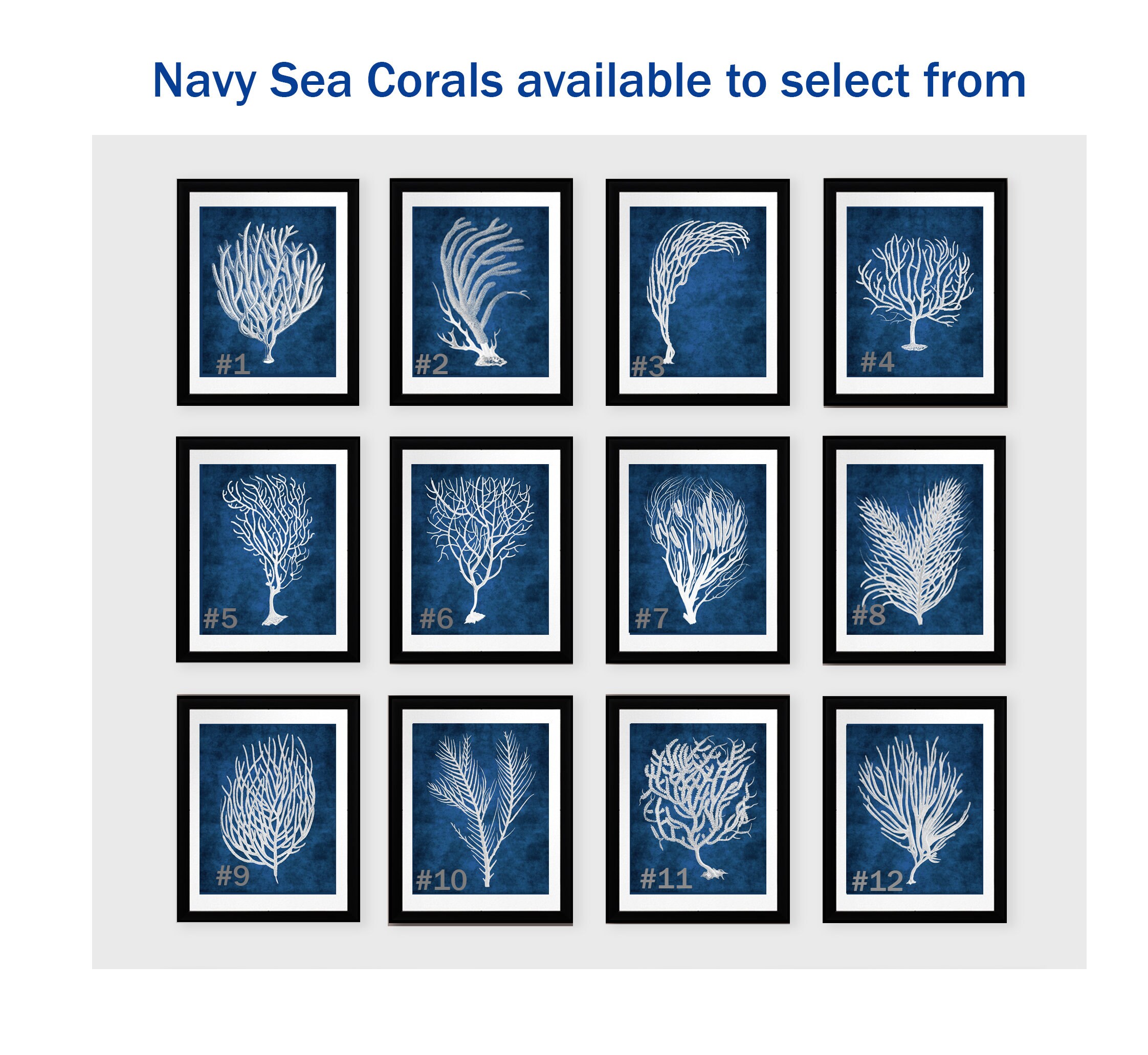Navy Beach Wall Art, a Set of 6 White Sea Corals With Navy Background ...