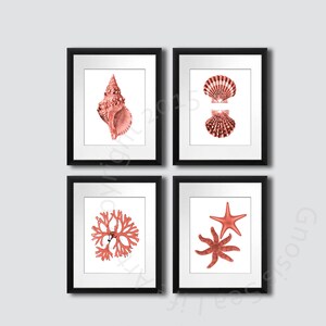 Coral Pink seashell Art Print set of 4, art balnéaire, Starfish art Print, Seashell art print, algues, Beach wall art Decor, Nautical Decor image 2