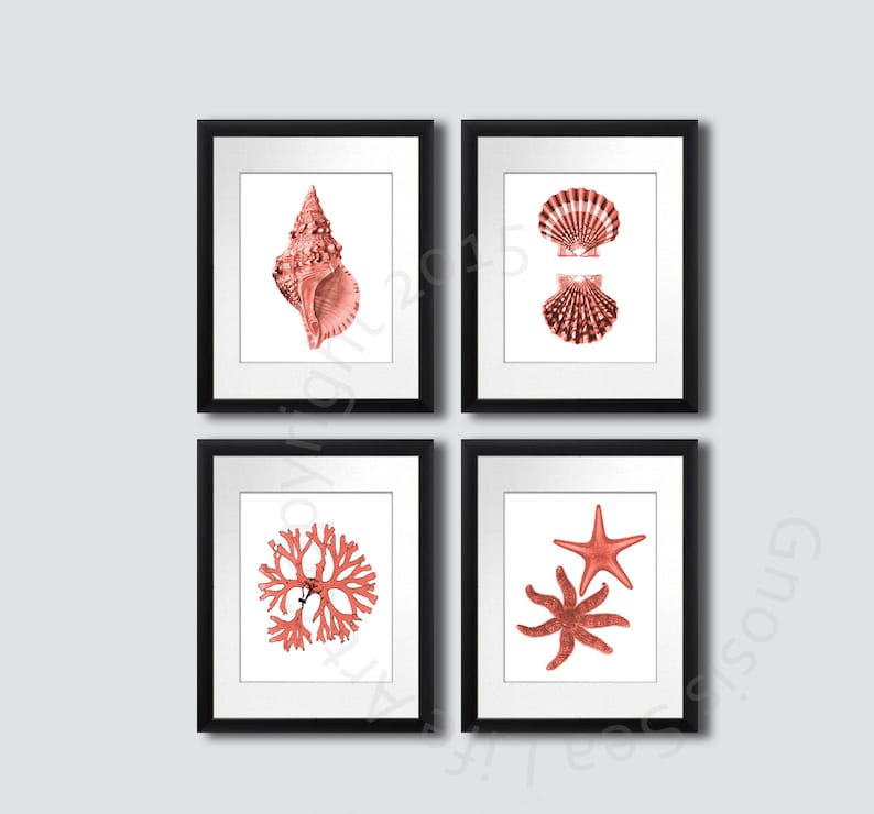 Coral Pink seashell Art Print set of 4, art balnéaire, Starfish art Print, Seashell art print, algues, Beach wall art Decor, Nautical Decor image 2