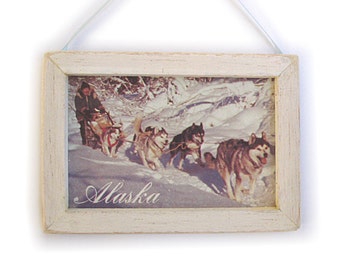 Alaska Picture, Alaska Magnet, Alaska Gift, Dogsled Team, Thank You Gift, Housewarming Gift, Gift For Him, Gift For Her, Fridge Magnet