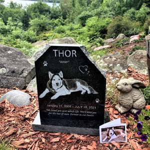 May include: A black granite headstone with the name "THOR" and the nickname "DUMMY" engraved on it. The headstone also features a heart, paw prints, and a photo of a husky dog. The inscription reads "January 17, 2008 - JULY 18, 2021. We loved you your whole life. We'll miss you for the rest of ours. Forever in our hearts."