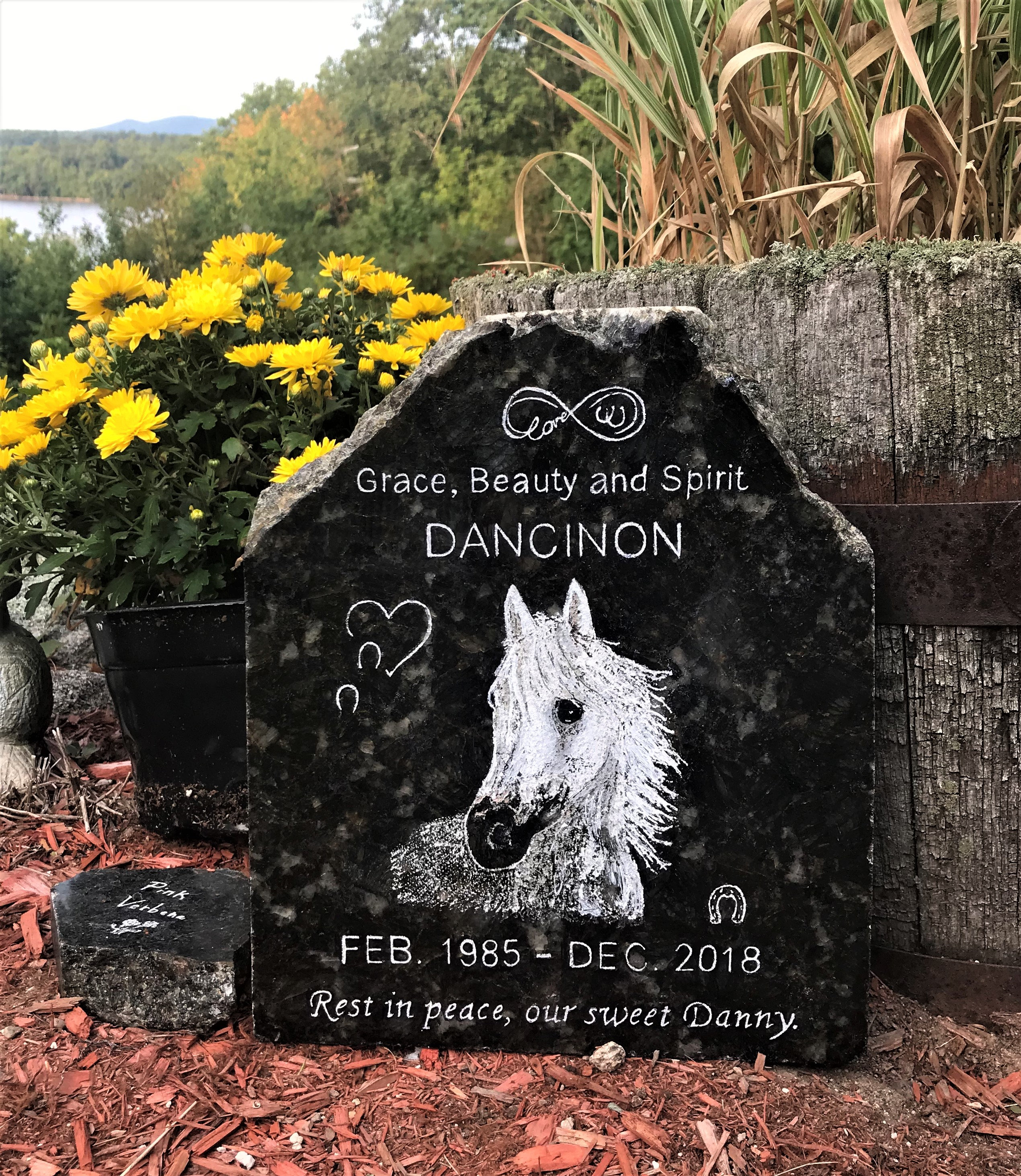 UNIQUE HORSE COLOR Memorial Stone, Cat, Dog Bird Rough Cut Stone ~ Help Design Your Hand Engraved stone+Granite Base* 11-12" x 9-10" x 1"*
