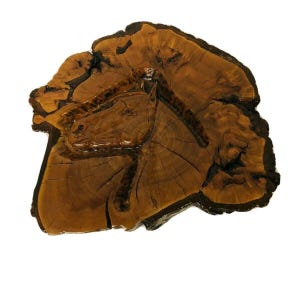Hand-Carved Wooden Wall Art Horse Head Design Unique Decor Piece